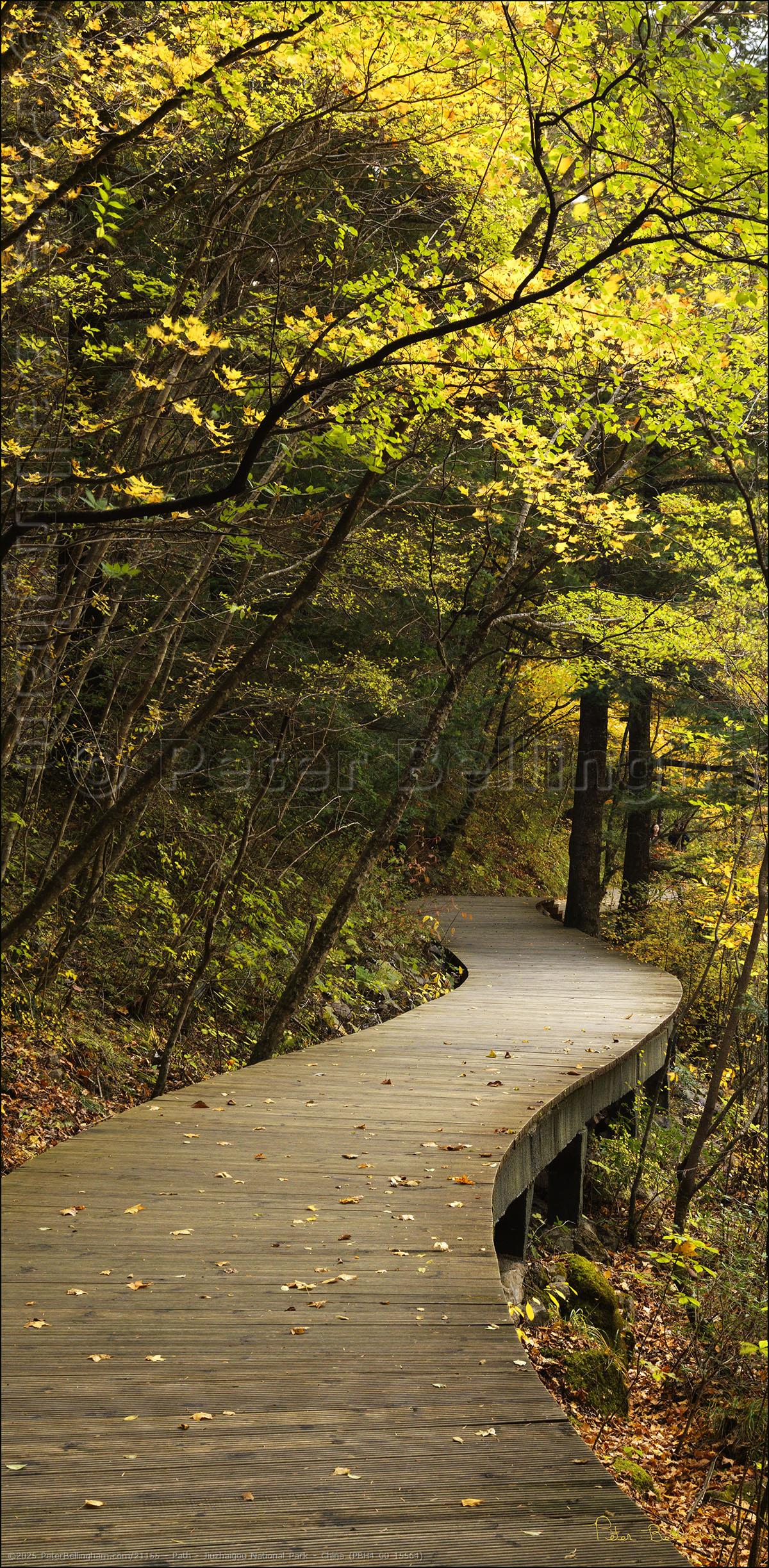 Peter Bellingham Photography Path - Jiuzhaigou National Park - China (PBH4 00 15564)